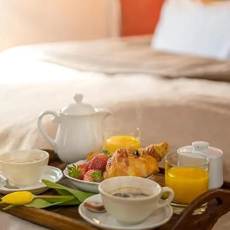 Santa Rosa Apartment - Oltrarno-2